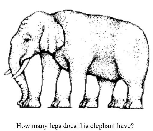 How many legs?