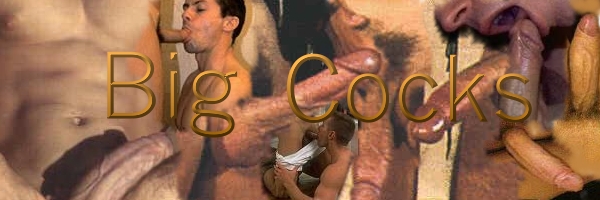 Big Cock Banner