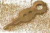 shrew3.JPG.