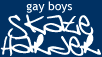 Gay Boys Skate Harder