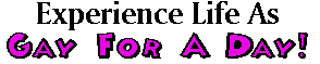 Experience Life as Gay For a Day