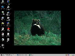 bear06.jpg (7061 バイト)