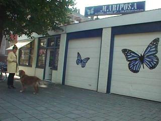 pand01.jpg