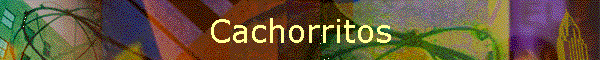 Cachorritos