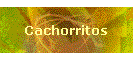 Cachorritos