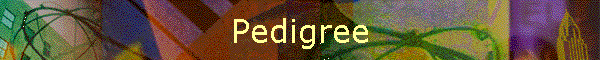pedigree.htm_cmp_downtown010_bnr.gif (20968 bytes)