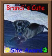 Brandi's Award