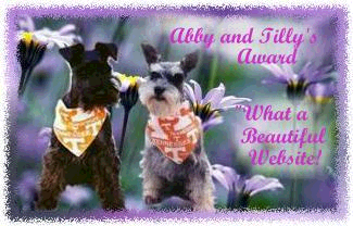 Abby and Tilly Award