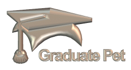 The Graduate Award