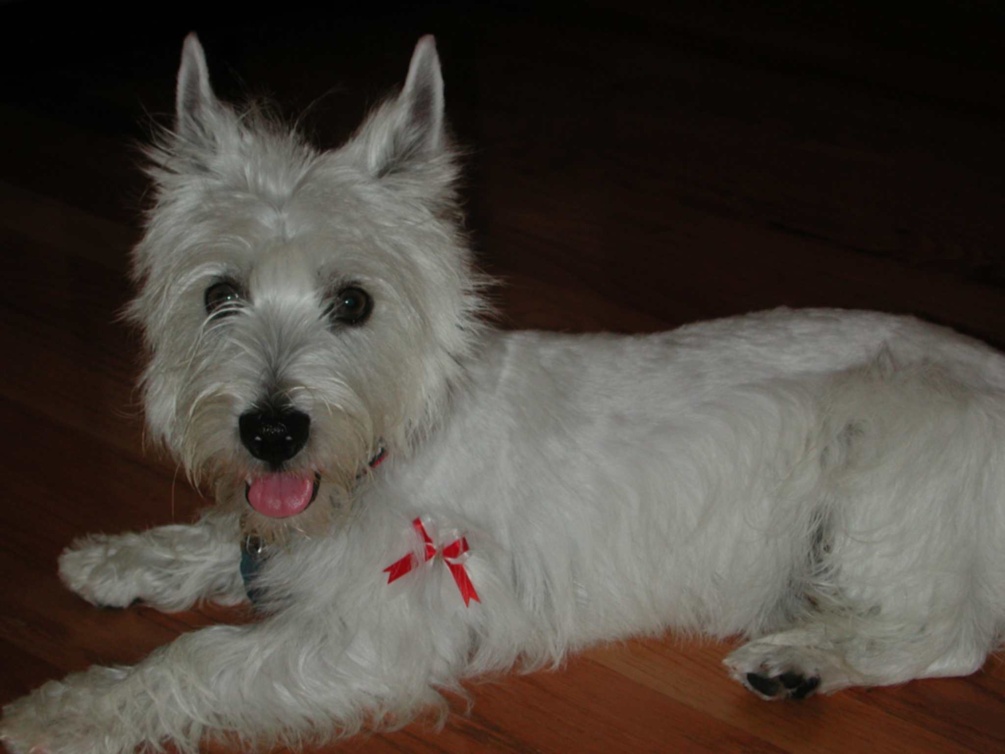 Hailey after