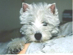 Gemma's daughter Cassie