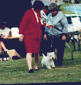Gemma 6 Months - Showing in NSW