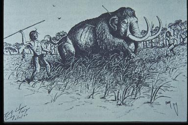 /user/Mammoth.jpg