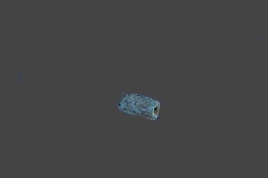 /user/bead.jpg