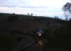goon.jpg (87367 bytes)