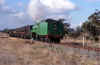 tfc.jpg (130316 bytes)
