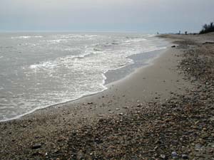 strand