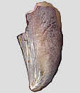 169b
