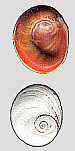 lu4