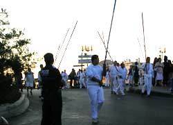 lanzenstecher