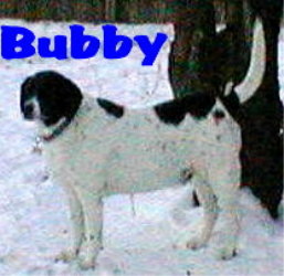Buster