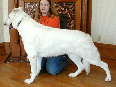 Rieger (Feb. 3, 2002)