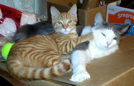 Terry & Kat