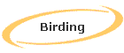 Birding