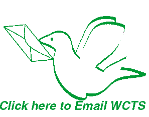 email link