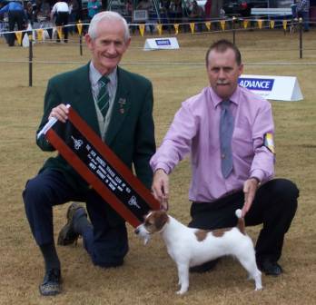 Aust.Ch.Whatajack Ice Dancer Best in show & Intermediate In Show  QLD Jack Russell Show- 10 June 2006  Judge Mr J Fields - South Affrica
