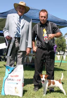 Blacktown Kennel Show - 10th March 2007- GSJ-Mr.Lowbridge-NSW - Best Minor Puppy In Show 