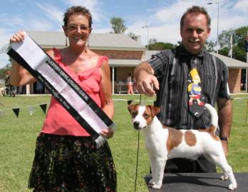 Blacktown Kennel Show - 11th March 2007- GSJ-Ms.D.Norman-QLD-Best Minor Puppy In Show
