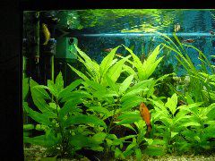 DSC05540.JPG