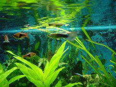 DSC05545.JPG