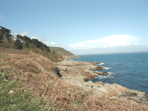 The Coastal Path West of Mousehole