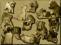 pupwpthmb.jpg (29151 bytes)