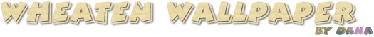 wallprbnr.jpg (12717 bytes)