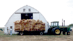 barn