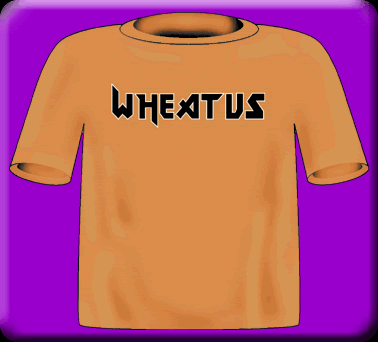 T-Shirt, auch in schwarz verf&uuml;gbar