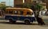 Car Rapid - The cheapest form of transport