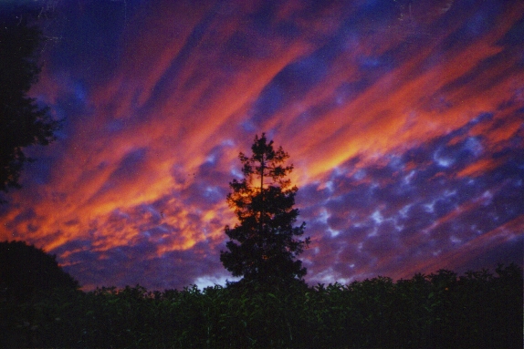 I remember I took this the day before VENT played here :) August 23, 2001