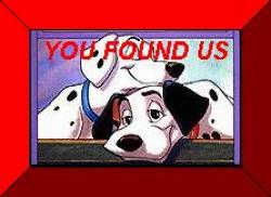 I Found Pongo