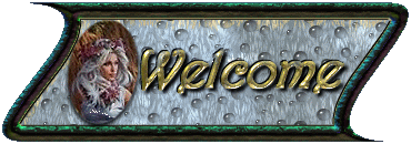 n42welcome.gif