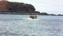 riding along on a crest of a wave !!!