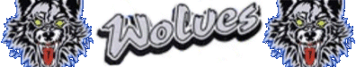 Link to us!