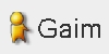 THIS IS A MULTI-NETWORK CLIENT AND SUPPORTS MOST NETWORKS!  THE NEW WINDOWS VERSION IS NAMED PIDGIN-DO NOT BE ALARMED AT THE NAME CHANGE (JUST MORE COPYRIGHT BULLDUNG!) -Portable Gaim via Source Forge net