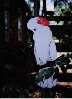 wooden Moluccan cockatoo