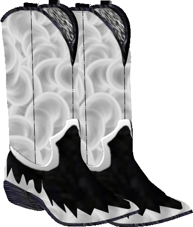 cowboy boots