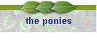 the ponies
