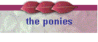 the ponies